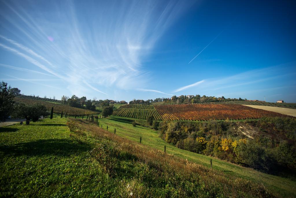 Agriturismo Acetaia Sereni Marano sul Panaro Exterior photo